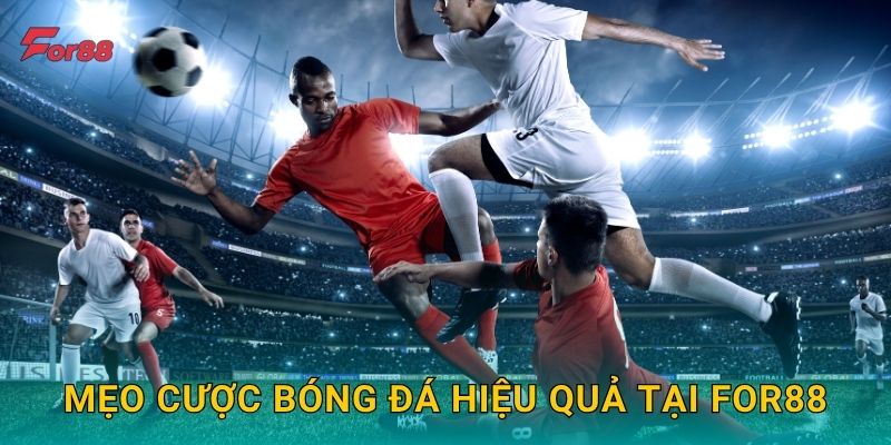 Mẹo cược bóng đá hiệu quả tại For88
