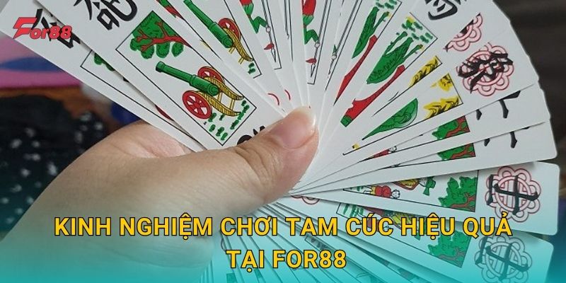 Kinh nghiệm chơi Tam Cúc hiệu quả tại For88