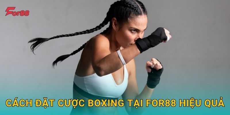 Cách đặt cược Boxing tại For88 hiệu quả