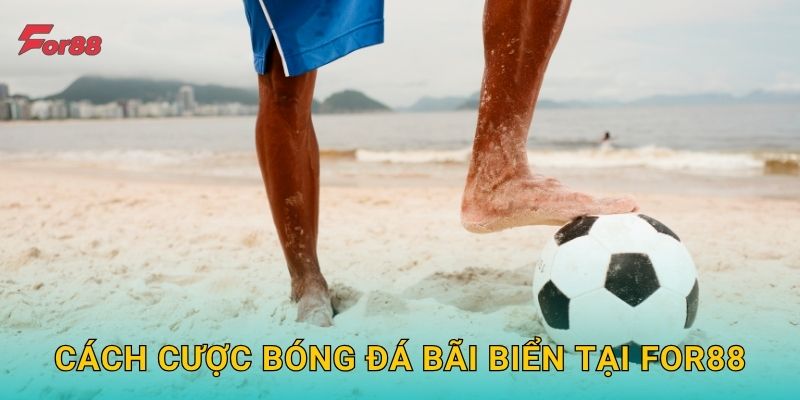 Cách cược bóng đá bãi biển tại For88